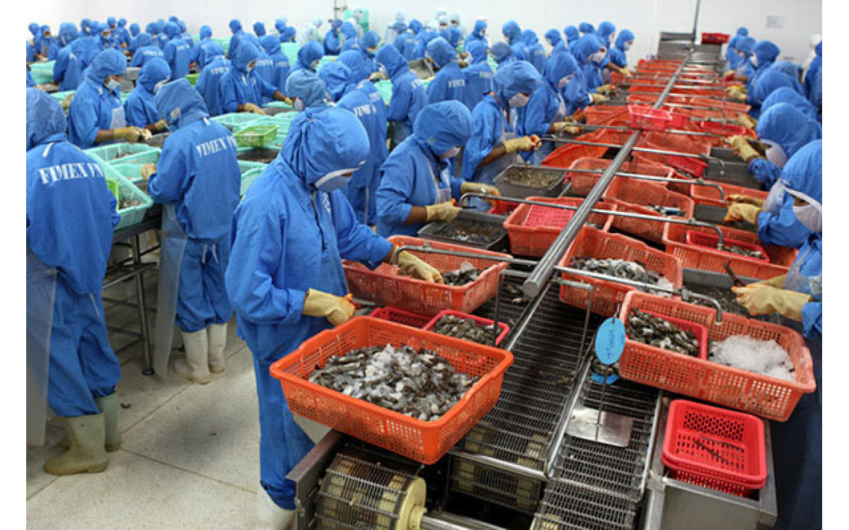 Năm 2020: Cơ hội mở rộng thị trường xuất khẩu thủy sản sang Bra-xin